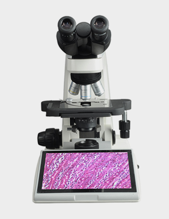 WMS-1050數碼生物顯微鏡